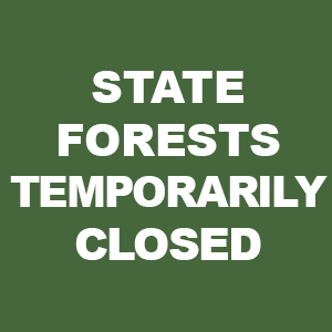 closed state forests